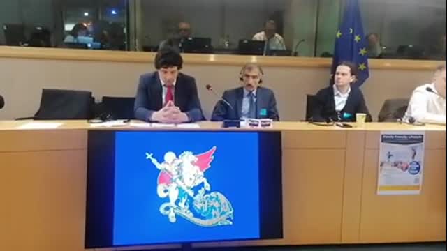 The Irish Patriot delivers speech in the EU Parliament!