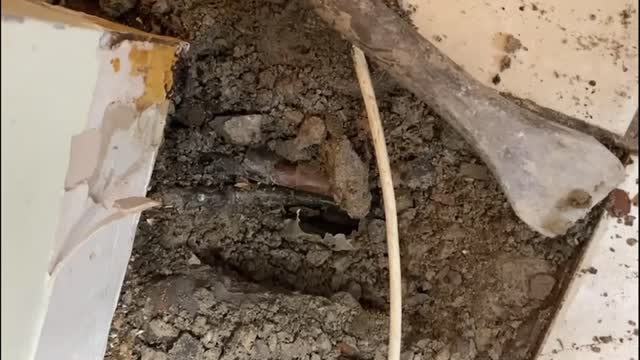 Leak Found at Sheilas House