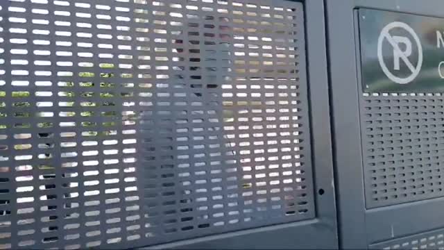 Síol na hÉireann Protest Eid Mubarak - Croke Park | 2021