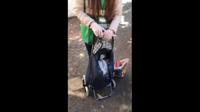 Síol na hÉireann Volunteer deliver food to elderly Dublin!